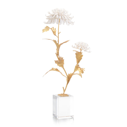Avignon Chrysanthemums