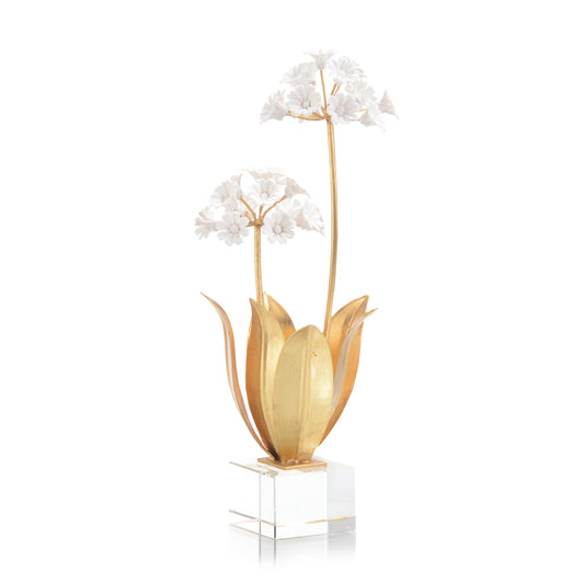 Allium Moly In Porcelain